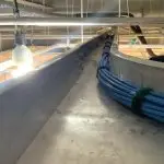 Cabledo estructurado